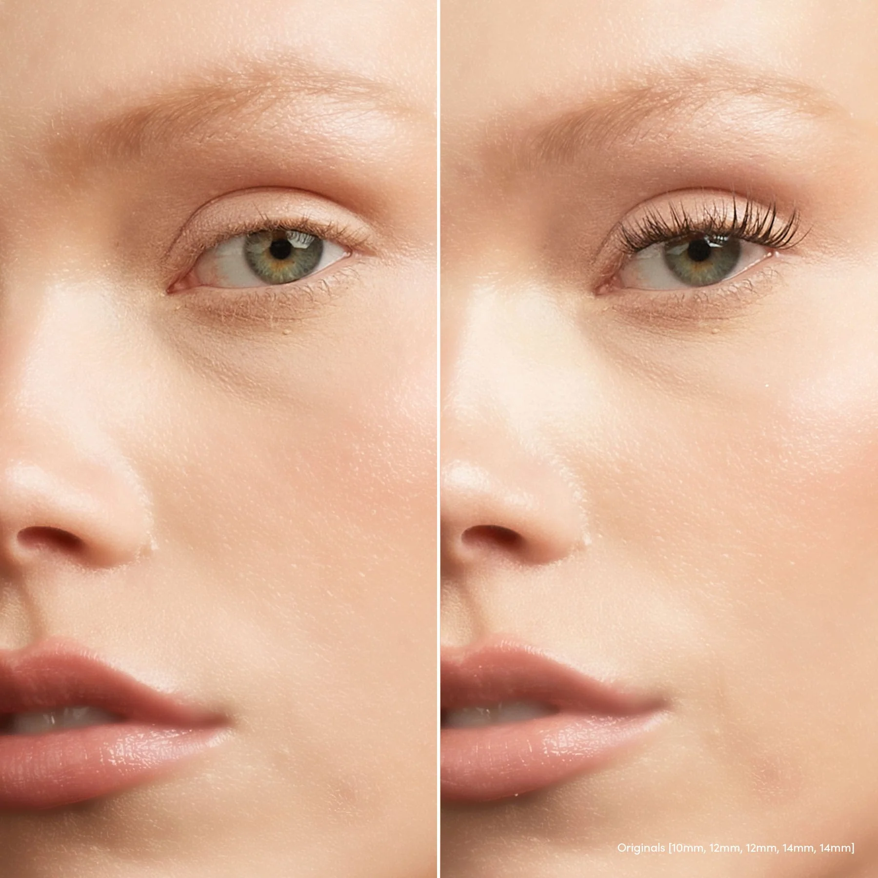 Intro Starter Kit - Image 3