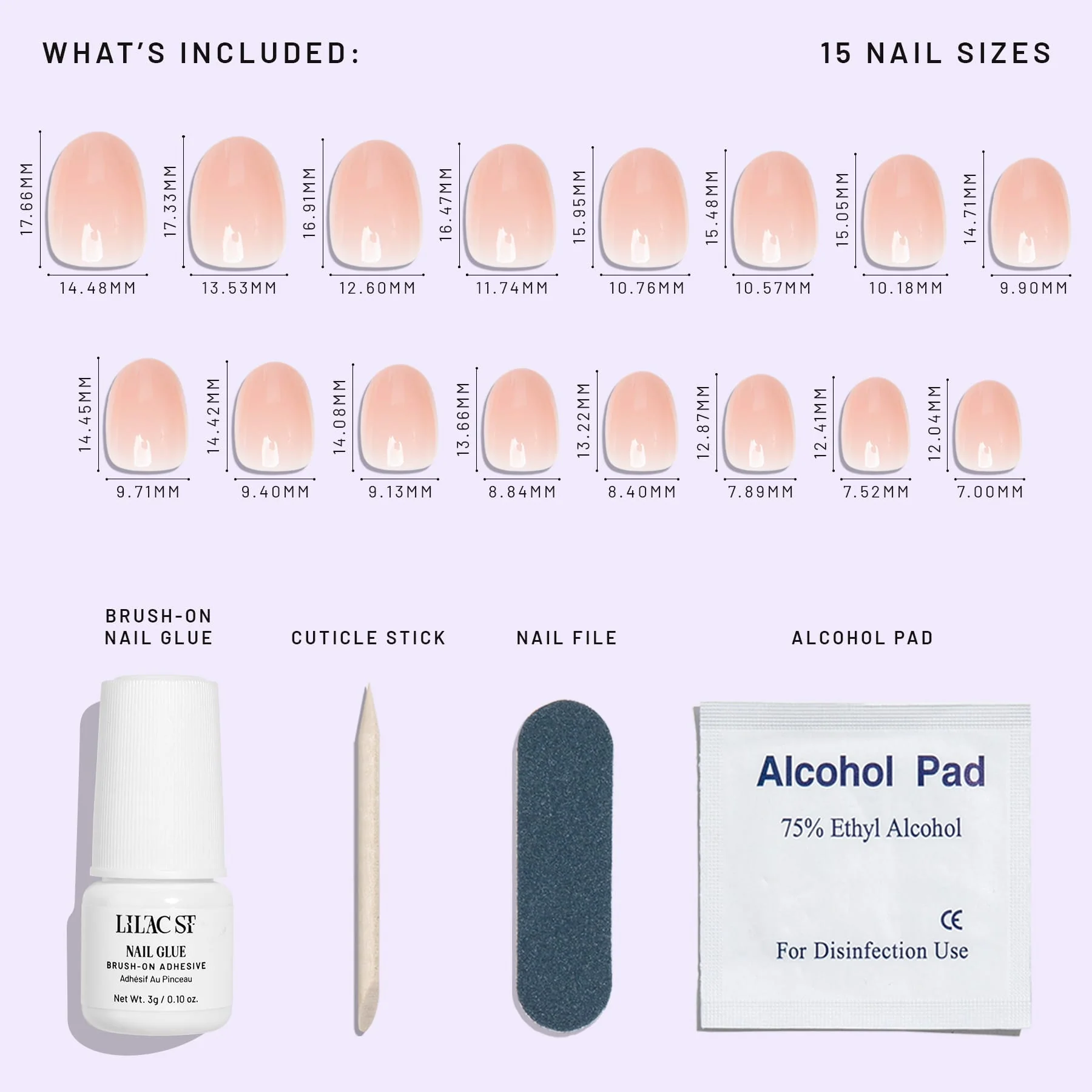 Sheer Chemise - Image 5